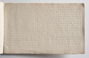 This book has singled-sided right hand numbered reading pages. The left hand pages are the reverse of the embossed writing and illustrations of the preceding right hand page and are not numbered. This book is open on page 4, the right hand page. The unnumbered left hand page is not numbered). The left hand side is stamped with reversed embossed writing and an illustration of a robin redbreast from page 3. The right page includes an embossed illustration of a swallow, and embossed text. The illustration is set in a box on the left hand side of the page, vertically (top to bottom) stretching from near the top of the page to a third of the way to the bottom, and horizontally (left to right) about a third of the width of the page. The text is a version of the Roman alphabet: all the letters are upper case. The text reads: THE SWALLOW. [New paragraph] OF THE SWALLOW THERE ARE NUMEROUS SPECIES, BUT THE GENERAL APPEARANCE OF ALL ARE NEARLY THE SAME. THEIR BILLS ARE SMALL, BROAD AT THE BENT, AND SLIGHTLY CURVED; THE WINGS ARE LONG, & THE TAIL FORKED. THEY ARE BIRDS OF PASSAGE, AND MIGRATE, ON THE APPROACH OF WINTER TO WARMER CLIMATES, REVISITING US WITH THE RETURN OF SPRING. [New heading] THE BLACKBIRD. [New paragraph] THE PLUMAGE OF THIS BIRD IS ALTOGETHER BLACK, AND FROM THIS CIRCUMSTANCE IT DERIVES ITS NAME. ITS TUNES ARE LOUD, CLEAR, AND MELODIUS, & WHEN TAMED YOUNG, IT MAY BE TAUGHT TO WHISTLE A VARIETY OF TUNES. [End page]. [End description].
