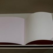 Picture shows an open book with a blank page on the left and an embossed illustration of a snowflake encompassing the entire page on the right. The snowflake is geometric in form. It shows a central hexagon surrounded by six adjoining hexagons. Lines extend from the side of each hexagon with two decorative, symmetrically placed, short, tactile marks on the end.